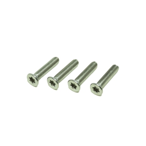 F-ONE M6-32mm tapered head screw (A4 - T30 torx) x4