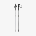 HEAD Crux Aluminum poles