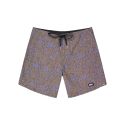 Boardshorts PICTURE ANDY HERITAGE P 17