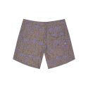 Boardshorts PICTURE ANDY HERITAGE P 17
